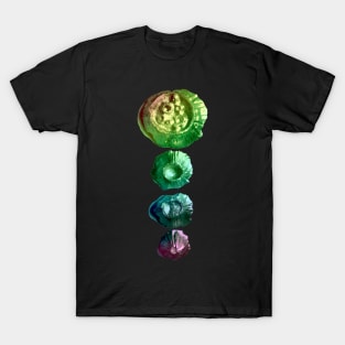 Rainbow Moon T-Shirt